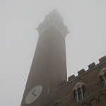 Torre Del Mangia (100m)