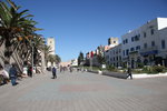 Avenue Oqba Ibn Nafiaa