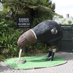 newzealand&d=nature_kiwi