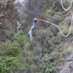 picture$queenstown_bungy